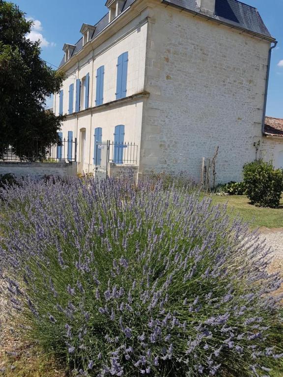 Le Domaine De Bellevue Bed and Breakfast Tanzac Exteriör bild